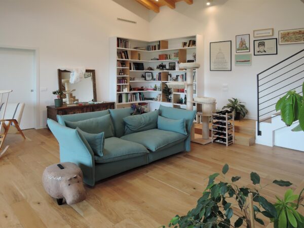 Libreria 13